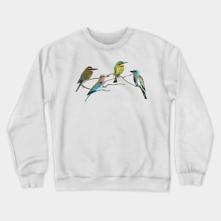 Bee-eater + Roller - Birds in Africa Crewneck Sweatshirt